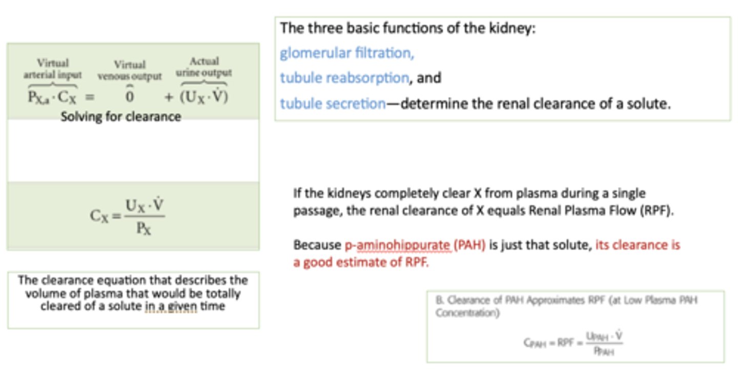 <p>Urine volume</p>