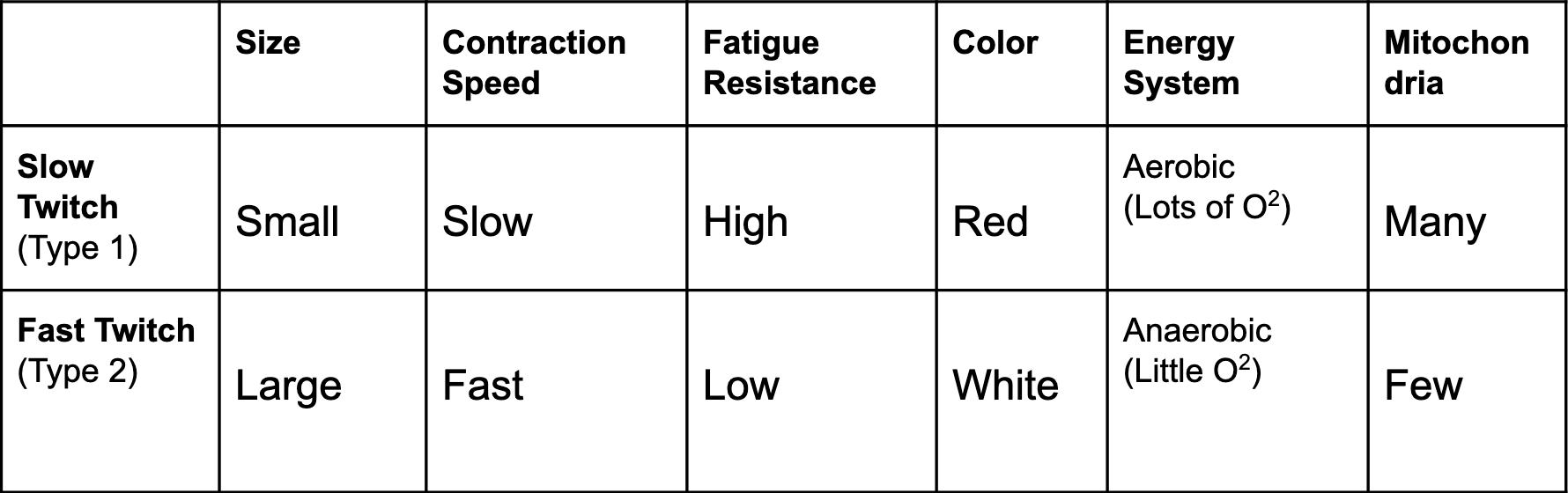 <p>Fast Twitch fibres (Type 2) can be further broken down into Type 2a and Type 2b.</p><p>Type 2a = Fast Oxidative</p><p>Type 2b = Fast Glycolytic</p><p></p>
