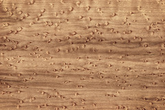 little pecks on wood