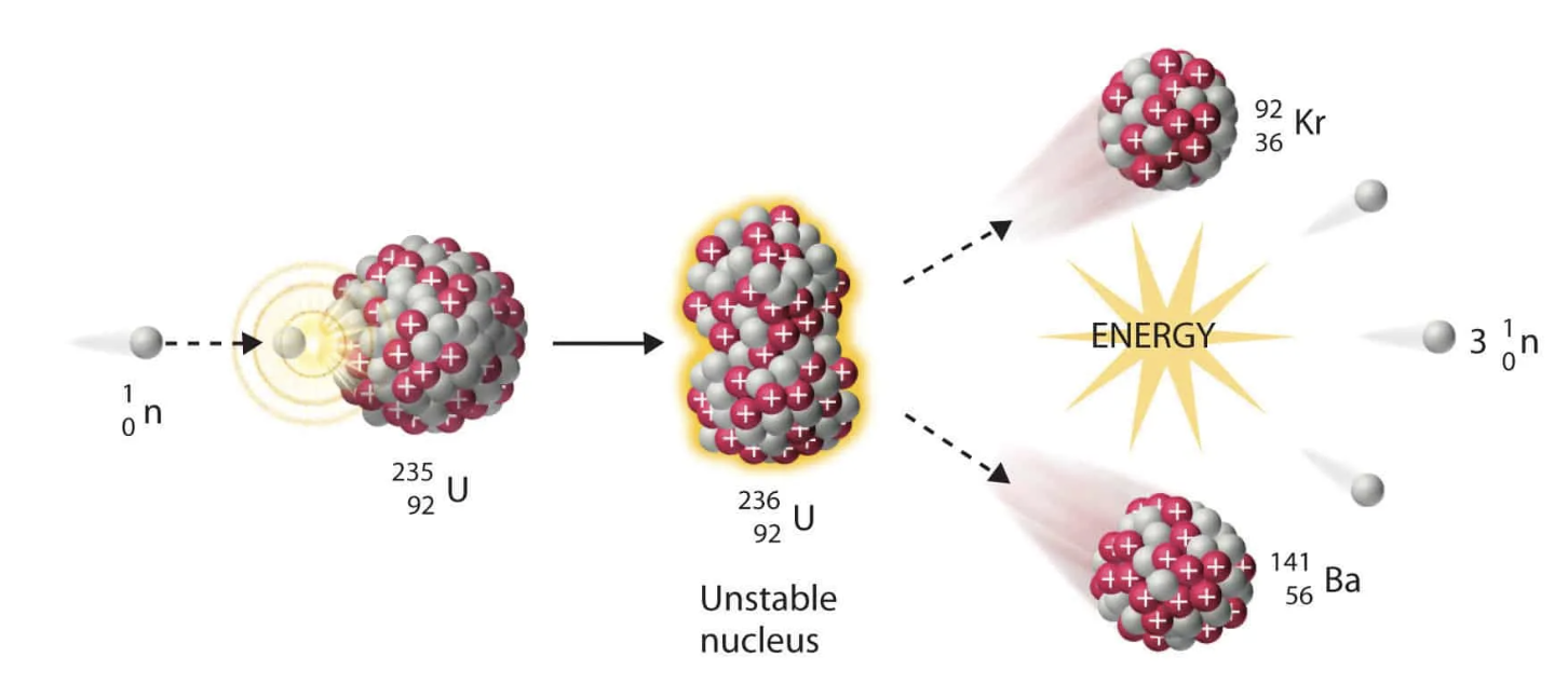 <p>The forced splitting of a nucleus.</p>
