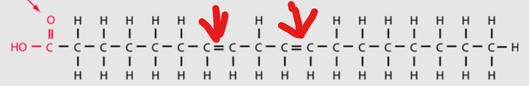<p>what is this</p>