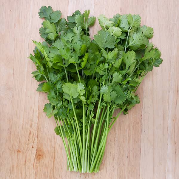 <p>Cilantro, bunch</p>