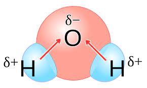 <p>A covalent bond between atoms that differ in electronegativity. The shared electrons are pulled closer to the more electronegative atom, making it slightly negative and the other atom slightly positive.</p>