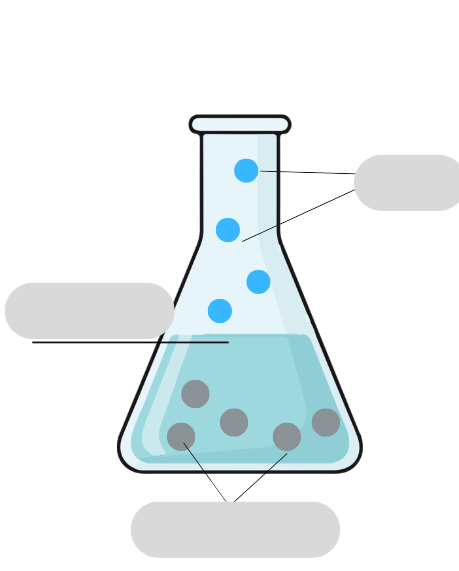 <p><strong>FILL IN THE BLANKS </strong></p>