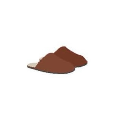 <p>slippers</p>
