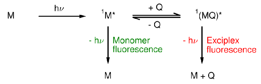 <p>A system which forms a com<u>plex</u> upon <u>exci</u>tation.</p>