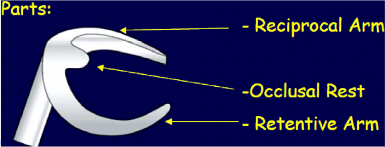 <ul><li><p>part of RPD that act as a direct retainer and/or stabiliser for the prosthesis by partially encompassing or contacting an abutment tooth</p></li></ul><p></p>