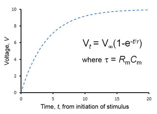 <p>Time taken for the membrane potential to rise from baseline to 63% of its final, asymptotic value at x=lamda.</p>