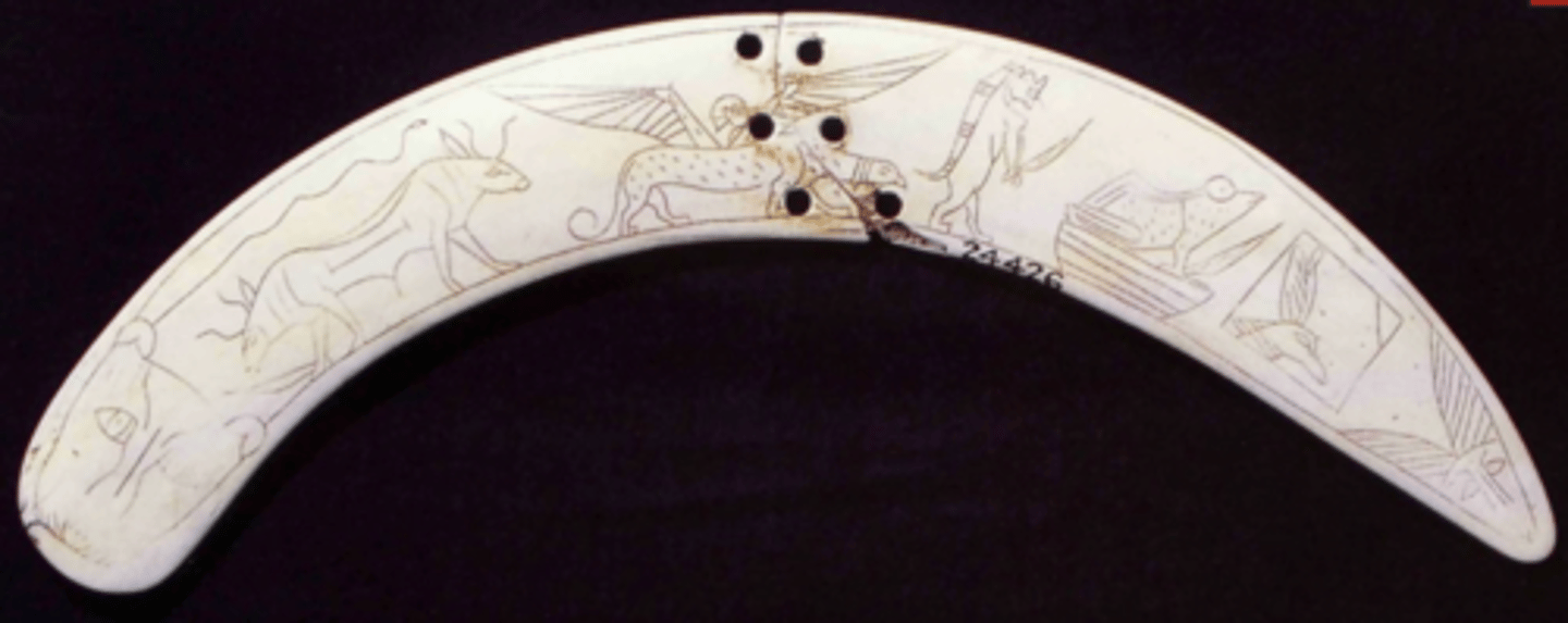 <p>- Looks like a boomerang</p><p>- Protective goddess of children and mothers holding a knife (hippo head, lion's limbs and paws, stylized crocodile tail on its back)</p><p>- Frog could = fertility</p><p>- Mythical animals</p><p>- Purpose of objects is debated</p><p>- Clearly used for something based on ware on tips</p><p>- Probably used to protect a mother during childbirth (priest takes wand and draws a circle in the sand around the mother)</p>