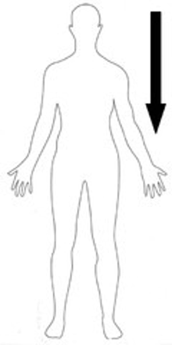 <p>toward the lower part of the body</p>