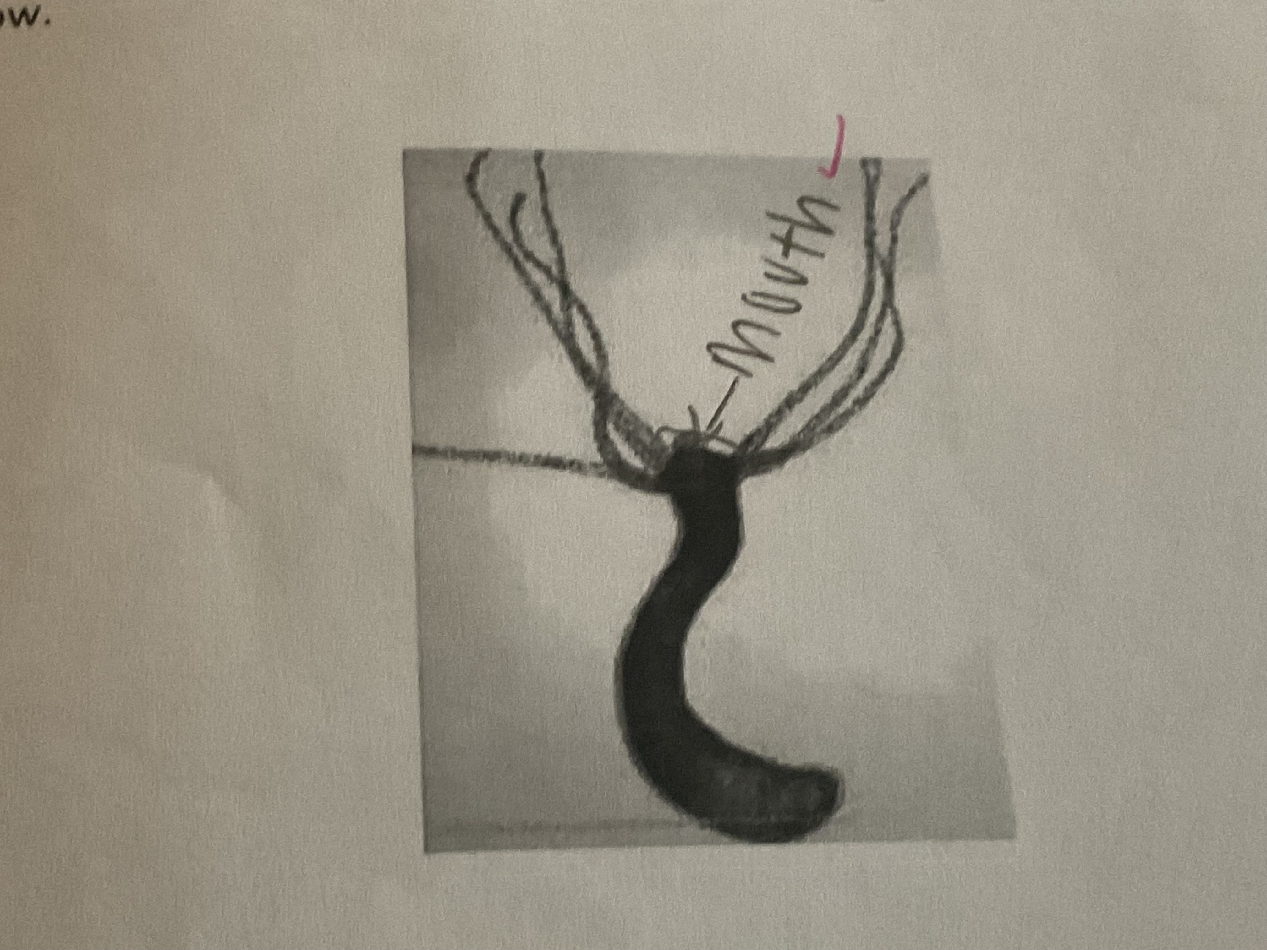 <p>yes, label it. </p>