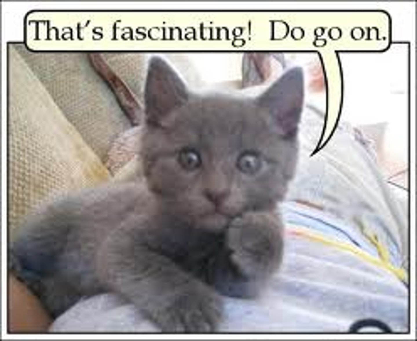 <p>It's fascinating</p>