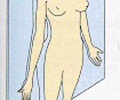 like sagittal plane lie vertically, divide body into anterior and posterior parts