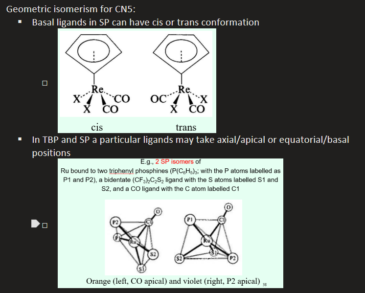 <ul><li><p>Basal ligands in SP complexes can have cis or trans conformation</p></li><li><p>There will also be geometrical isomers depending on if particular ligands take axial/apical or the basasl/equatorial positions </p></li></ul><p></p>