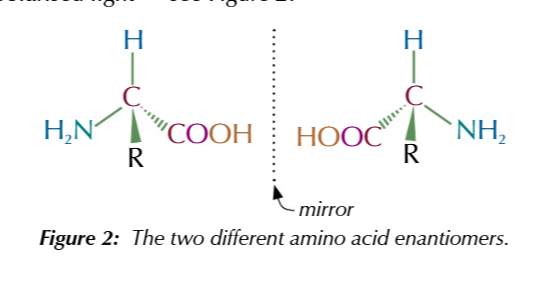 <p>the carbon is attached to 4 different groups</p>