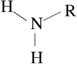 <ul><li><p>Amine group has one nitrogen atom attached to two hydrogen atoms with single bonds (NH<sub>2</sub>).</p></li><li><p>a general formula of R–NH<sub>2</sub> where NH<sub>2</sub> is the amine group attached to the end of the hydrocarbon side chain R.</p></li><li><p>The ending of “amine” in the name of compounds indicates an amine group.</p></li><li><p>examples </p><ul><li><p>Alanine</p></li><li><p>Methylamine</p></li><li><p>Aniline</p></li></ul></li></ul><p></p>