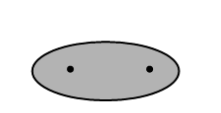 <p>E is lower than the E of the orbitals from which it was formed (more stable)</p><p>e- density concentrated between nuclei</p><p>attraction of e- to both nuclei → lower E → bonding is favourable</p>