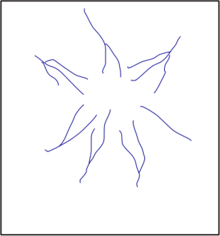develops where streams flow away from a common high point on cone- or dome-shaped geologic structures, such as volcanoes (opposite is centripetal).