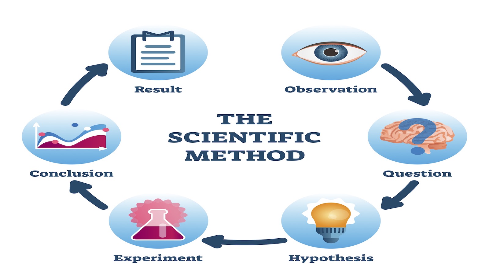 <p>Psychologists, like all scientists, use the scientific method to construct theories that organize, summarize and simplify observations.</p>