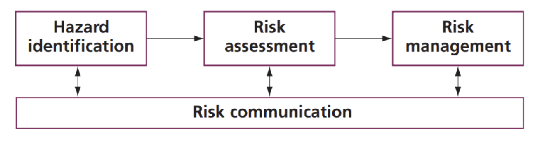 <ul><li><p>hazard identifcation</p></li><li><p>risk assessment</p></li><li><p>risk management</p></li><li><p>risk communication</p></li></ul><p></p>