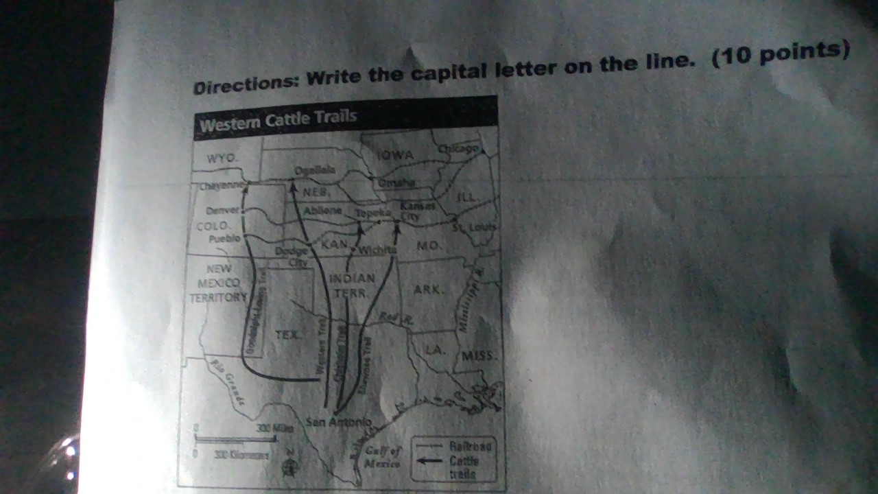 <p>Why were railroads built linking the East and West?</p><p>A. Cattle raised in the West could be shipped to eastern markets</p><p>B. The railroad did not want to compete with the cattle trails</p><p>C. There were geographic obstacles between the North and South.</p><p>D. all of the above is true</p>