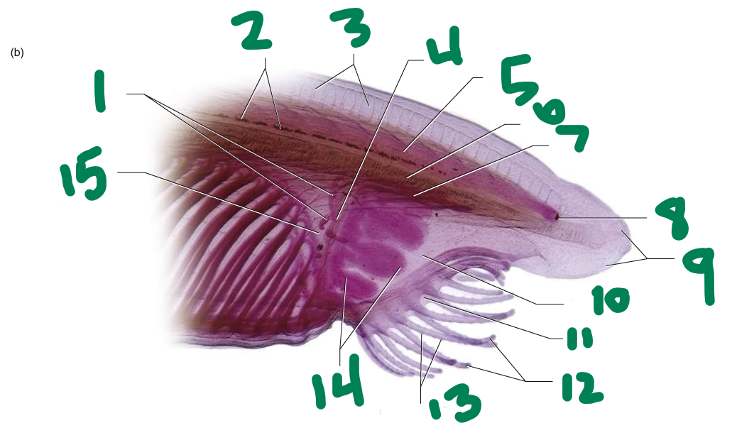 <p>What is 14?</p>