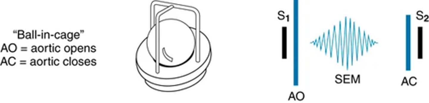 <p>-occurs early in systole at the start of ejection, results from the opening of the semilunar valves</p><p>(usually opens silently, but in the presence of stenosis their opening makes a short and high pitched sound with a click quality; better with diaphragm)</p><p>The aortic ejection click is heard at the 2nd right interspace and apex and may be loudest at the apex.</p><p>(intensity unchanged with respiration)</p><p>The pulmonic ejection click is best heard in the 2nd left interspace ( often grows softer with inspiration.)</p>