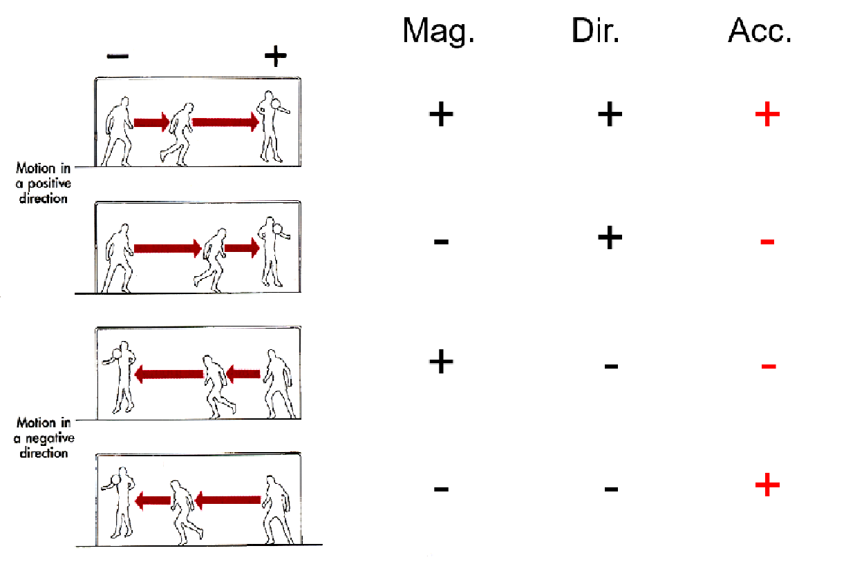 <p>double positive or double negative = positive acceleration</p><p>one positive and one negative = negative acceleration</p>