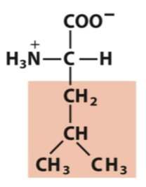 <p>Nonpolar, aliphatic</p>