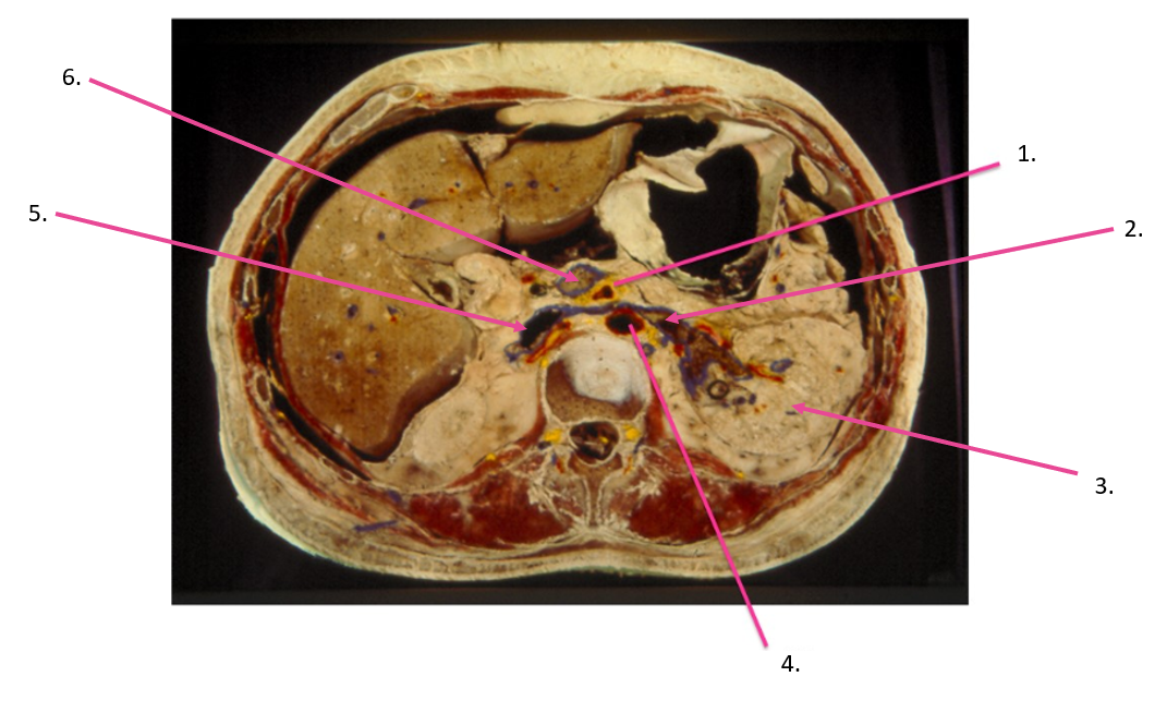 <p>identify 1</p>