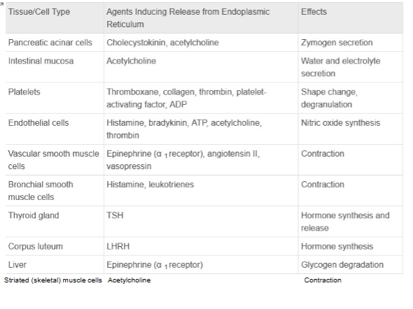 <p>just gives idea what Ca does</p>