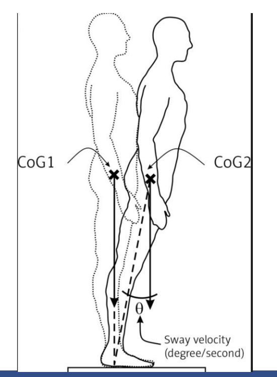 <p><span><strong><mark data-color="unset" style="background-color: unset; color: inherit;">an imaginary, vertical line that extends down from an object's center of gravity to the supporting surface</mark></strong>; it represents the direction and line of action of the force of gravity acting on an object</span></p>