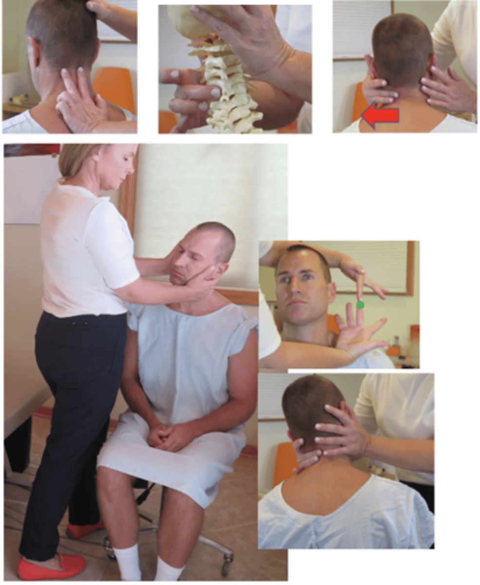 <p>• PP: Seated in a chair with back, asks permission to open gown/contact patient, verbalize finding the segment</p><p>• DP: Stand facing patient, opposite side of contact, reaching across to contact superior segment of posterior articular pillar, tissue slack M-L</p><p>• CH: Middle digit on the posterior AP, with palm resting on patient's cheek, remaining fingers supporting head.</p><p>• IH: Stabilize head/occ, supporting temporal region, on opposite side contact</p><p>• Vec: P-A slight I-S w/clockwise or counterclockwise rotation</p>