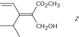 <p>Z</p>