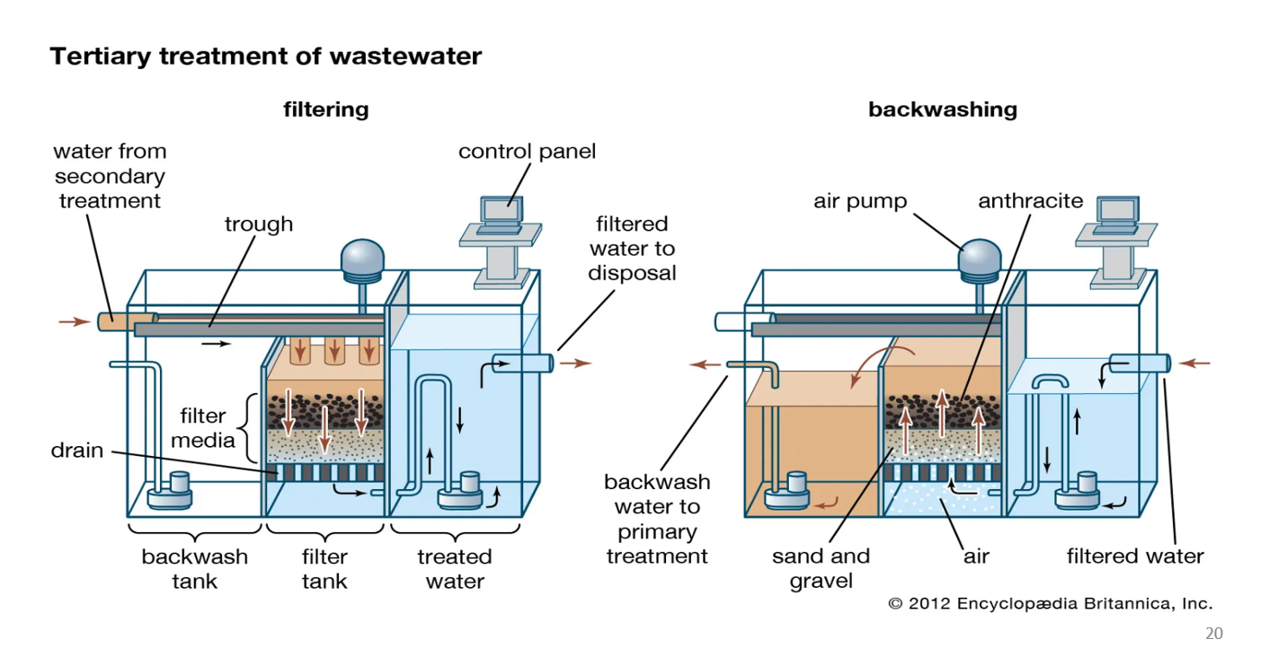 <p>Why is backwashing needed?</p>