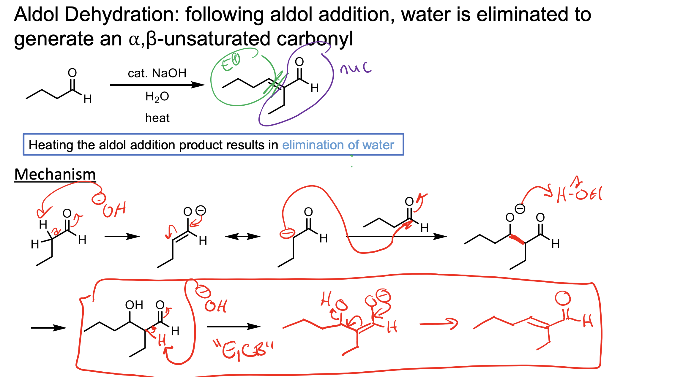 <p>The elimination of water. </p><ul><li><p>This is the E1CB reaction. You HAVE to make the enolate intermediate seen in the second step in red. This then pushes down to push off the OH.&nbsp;</p></li></ul><p></p>