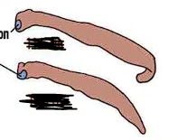 <p></p>