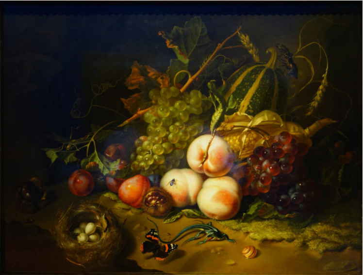 <p>Fruit and Insects (use &amp; facts)</p>