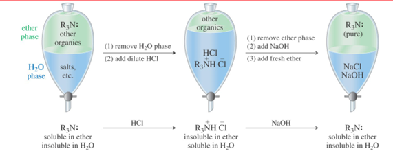 <p>Voeg ether en water toe met de verontreinigde amine in een scheidtrechter. Verwijderd organische (boven) met amine en organische verontreinigingen van water laag (onder) met zouten ect. Voeg de organische laag en H+ en H2O toe. Amine zout wordt gevormd (waterlaag) en verwijder bovenste laag (organisch) met organische verontreinigingen. voeg NaOH toe. amine is oplosbaar in ether en is te scheiden van de waterlaag met nacl en naoh</p>