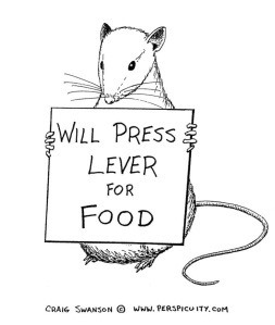 Learning that certain events occur together. The events may be two stimuli (as in classical conditioning) or a response and its consequences (as in operant conditioning).