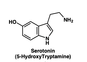 <p>functional group conversion of tryptophan: </p><ul><li><p>tryptamine</p></li><li><p>serotonin (5-HT)</p></li><li><p>melatonin </p></li></ul><p></p>