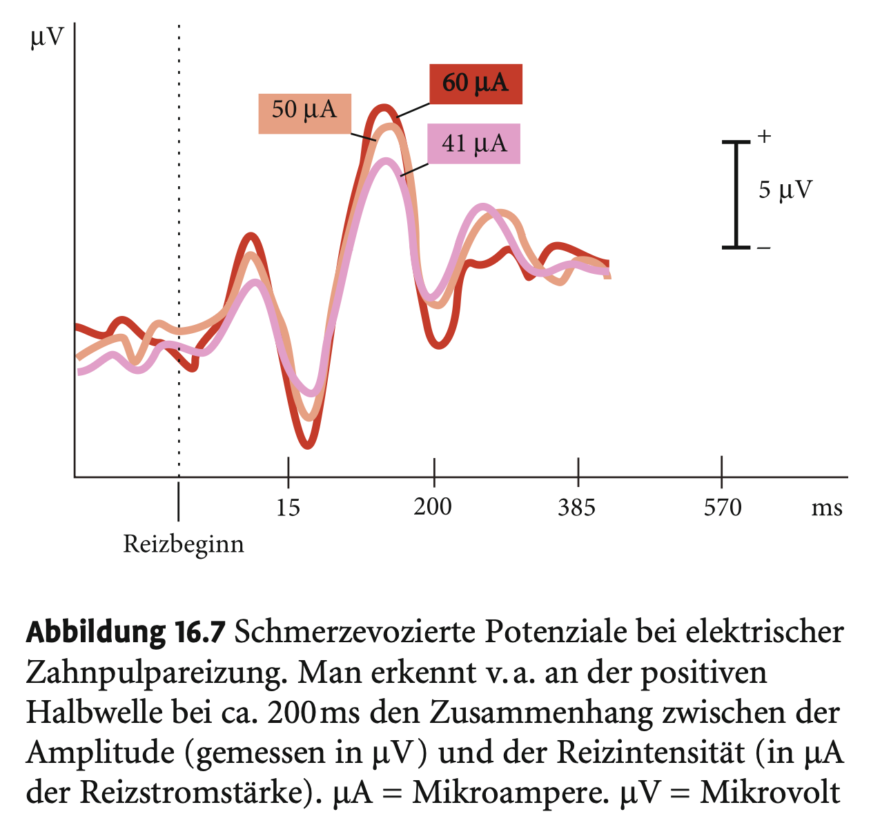 <p><span><strong>Psychophysiologische Algesimetrie</strong></span></p><p>&nbsp;</p><p>&nbsp;</p><p><span><strong>a) Hirnelektrische Reaktionen (EEG)</strong></span></p><p>&nbsp;</p><ul><li><p><span><strong>Schmerzevozierte Potenziale</strong> (100–300 ms nach Reiz).</span></p></li><li><p><span>Typisch: <strong>biphasische Wellenform</strong> mit positiver Halbwelle (korreliert positiv mit Schmerzintensität und negativ mit Schmerzmittel).</span></p></li><li><p><span><strong>Amplitude</strong> sinkt bei Schmerzmittelgabe, steigt bei stärkerem Schmerz.</span></p></li><li><p><span><strong>Nützlich in Forschung</strong>, aber <strong>weniger brauchbar für chronischen Schmerz</strong>.</span></p></li></ul><p></p><p><span><strong>b) Vegetative Reaktionen</strong></span></p><p>&nbsp;</p><ul><li><p><span><strong>Typische Stress-/Schmerzantworten:</strong></span></p><ul><li><p><span>Erhöhte <strong>Herzfrequenz</strong></span></p></li><li><p><span>Anstieg <strong>Blutdruck</strong></span></p></li><li><p><span><strong>Pupillenerweiterung</strong></span></p></li><li><p><span><strong>Vasokonstriktion</strong> (v. a. Haut)</span></p></li><li><p><span><strong>Erhöhte Hautleitfähigkeit</strong> (Schweiß)</span></p></li></ul></li></ul><p>&nbsp;</p><ul><li><p><span>Sie sind jedoch unspezifisch und treten auch bei Stress auf.</span></p></li></ul><p>&nbsp;</p><p>&nbsp;</p><p><span><strong>c) Muskularer Bereich</strong></span></p><p>&nbsp;</p><ul><li><p><span><strong>Nozifensive Reflexe</strong> (Schutzbewegung vom Schmerzreiz weg)</span></p><ul><li><p><span>Besonders in der <strong>Tierforschung</strong> verbreitet.</span></p></li></ul></li><li><p><span><strong>Muskeltonus-Erhöhung</strong> in:</span></p><ul><li><p><span>Armen, Stirn, Nacken, Rücken.</span></p></li></ul></li><li><p><span>Kann selbst zu <strong>Schmerzsyndromen</strong> führen, v. a. bei <strong>muskelbedingtem Schmerz</strong>.</span></p></li><li><p><span>Auch <strong>nicht-schmerzhafte, aber belastende Reize</strong> können diese Muskelspannungen auslösen.</span></p></li></ul><p></p>