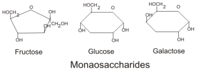 <p>Monosaccharide</p>