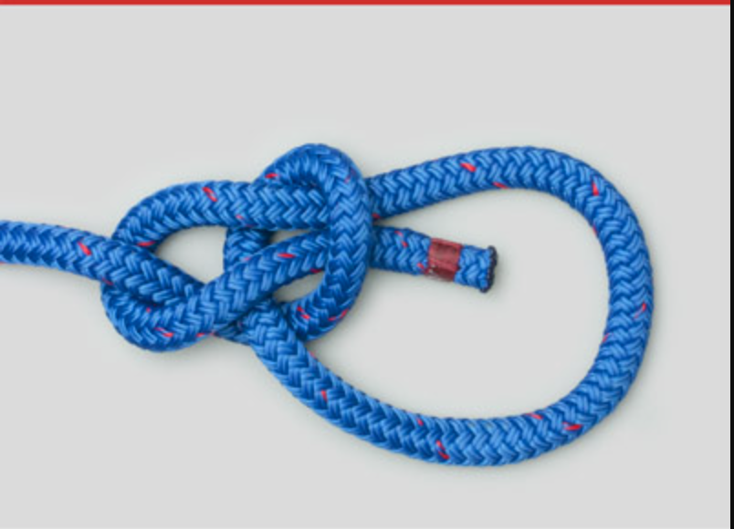 <p>Bowline knot</p>
