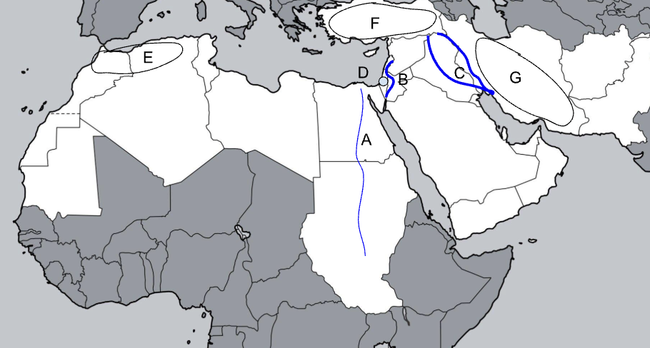 <p>E</p>