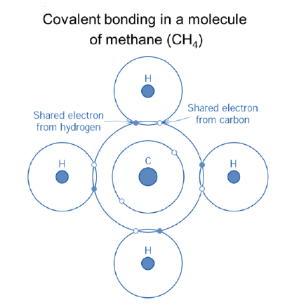 <ul><li><p>Each of the two atoms share at least one valence electron to the bond</p></li><li><p>Stable electron configuration assumed</p></li><li><p>Directional bonds, belonging only to sharing atoms</p></li><li><p>For an atom with N’ valence electrons, it can bond with at most 8-N’ atoms</p></li><li><p>For differences in electronegativity &lt; 1.7, both with electronegativities larger than 1.5</p></li></ul><p></p>