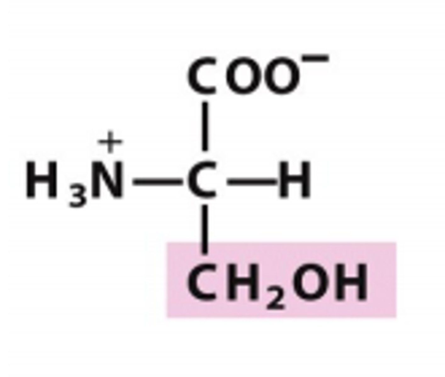 <p>Which amino acid is this?</p>