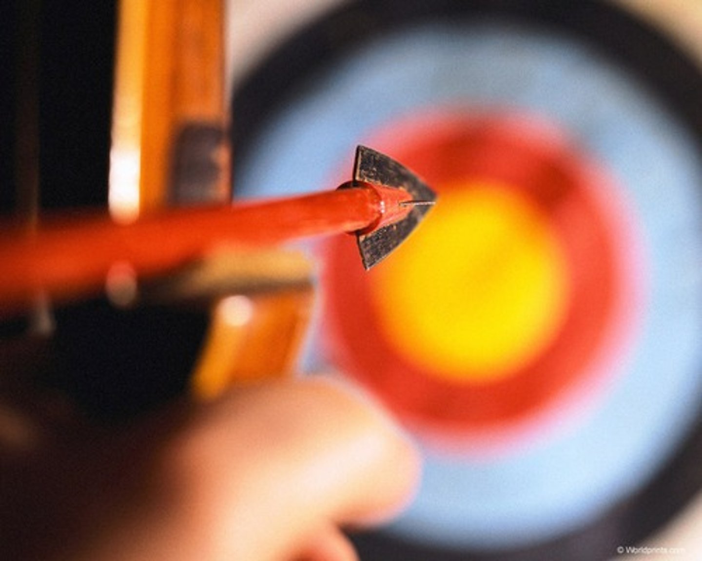 <p>задача, смысл, назначение, предназначение</p>