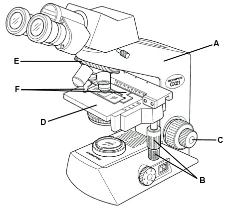 <p>Label each part</p>