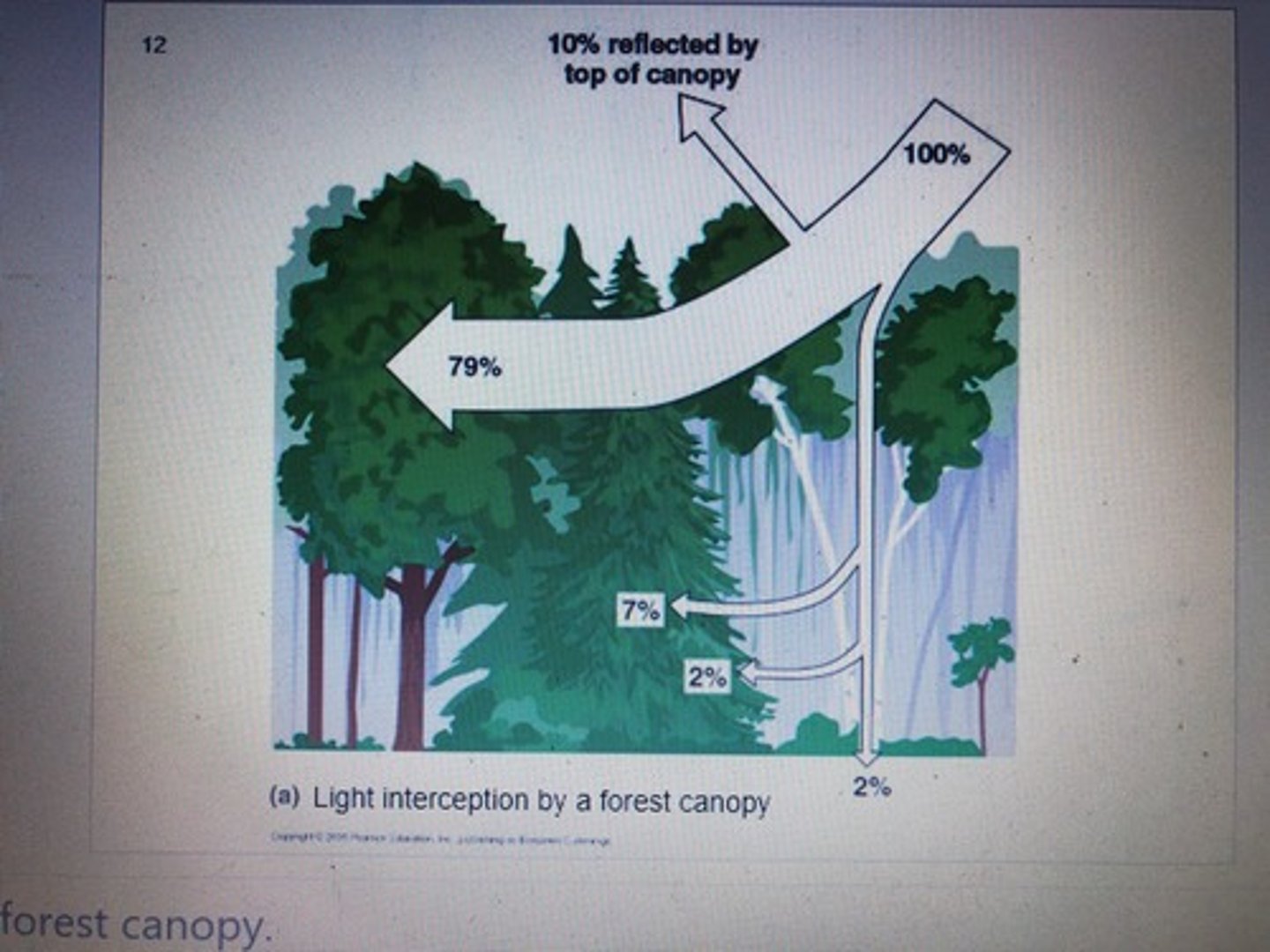 <p>- Canopy interception = 10% - 20% of water so that it does not reach the soil<br><br>- Forest floor interception = 1 - 5% and depends on thickness of litter, water holding capacity, frequency or wetting and evaporation rate<br><br>- Minimal interception of water for grass cover</p>